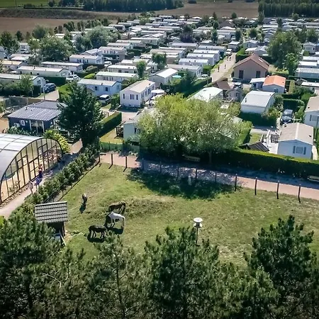 Campeggio Camping Des Pins Ghyvelde